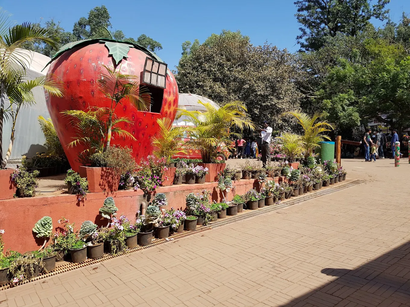 Mapro Gardens